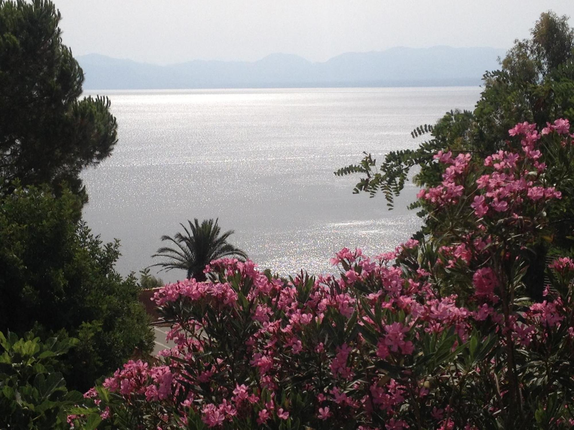 Villa Hibiscus Scopello Scopello (Sicily) Exterior foto